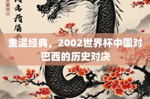 重温经典,2002世界杯中国对巴西的历史对决
