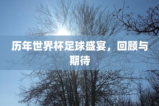 历年世界杯足球盛宴，回顾与期待