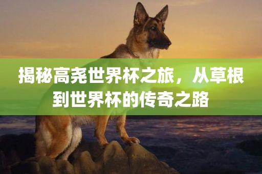 揭秘高尧世界杯之旅，从草根到世界杯的传奇之路