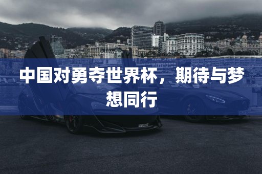 中国对勇夺世界杯，期待与梦想同行