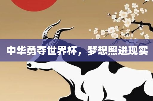 中华勇夺世界杯，梦想照进现实