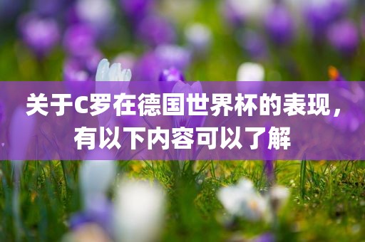 关于C罗在德国世界杯的表现，有以下内容可以了解