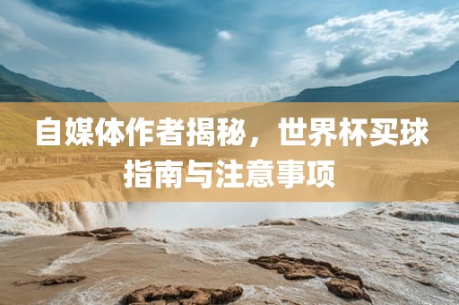 自媒体作者揭秘,世界杯买球指南与注意事项