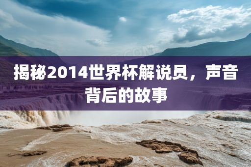 揭秘2014世界杯解说员，声音背后的故事