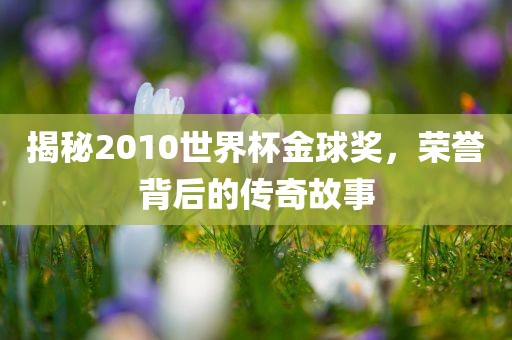 揭秘2010世界杯金球奖，荣誉背后的传奇故事