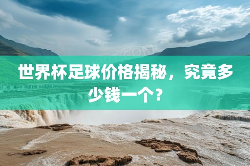 世界杯足球价格揭秘，究竟多少钱一个？