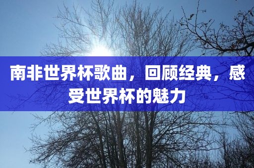 南非世界杯歌曲,回顾经典,感受世界杯的魅力