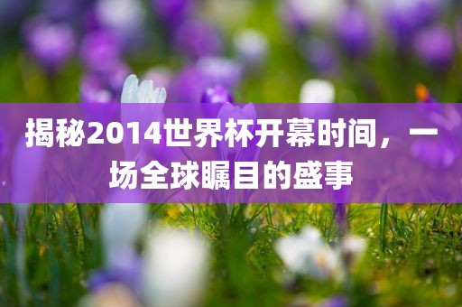 揭秘2014世界杯开幕时间，一场全球瞩目的盛事