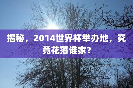 揭秘,2014世界杯举办地,究竟花落谁家?