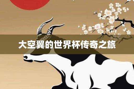 大空翼的世界杯传奇之旅