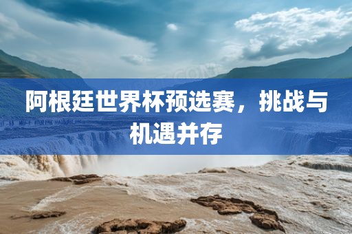 阿根廷世界杯预选赛，挑战与机遇并存