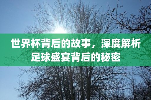 世界杯背后的故事，深度解析足球盛宴背后的秘密