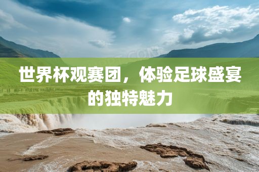 世界杯观赛团，体验足球盛宴的独特魅力