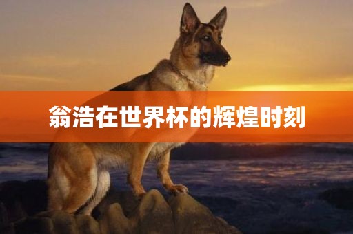 翁浩在世界杯的辉煌时刻