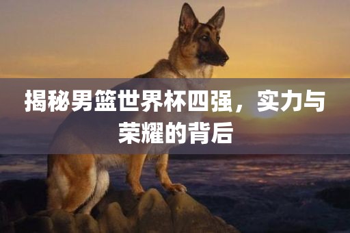 揭秘男篮世界杯四强，实力与荣耀的背后