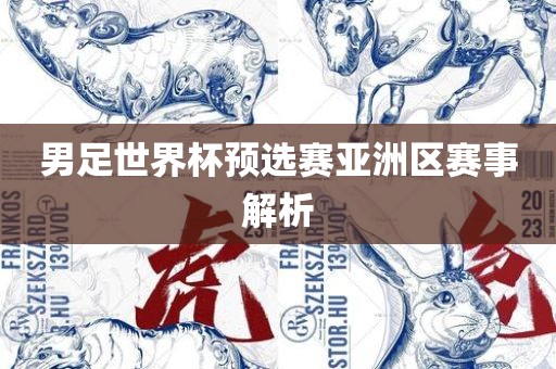 男足世界杯预选赛亚洲区赛事解析
