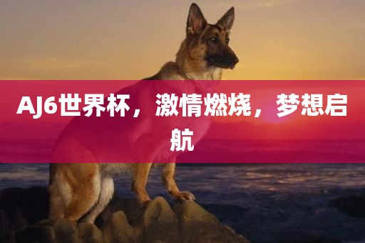 AJ6世界杯，激情燃烧，梦想启航