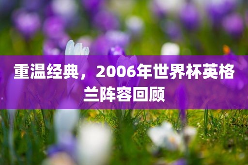 重温经典,2006年世界杯英格兰阵容回顾