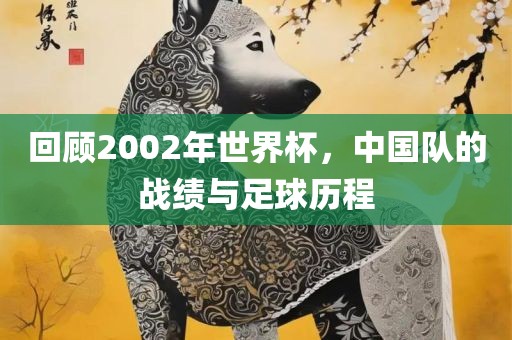 回顾2002年世界杯,中国队的战绩与足球历程