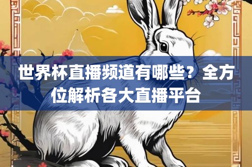 世界杯直播频道有哪些？全方位解析各大直播平台