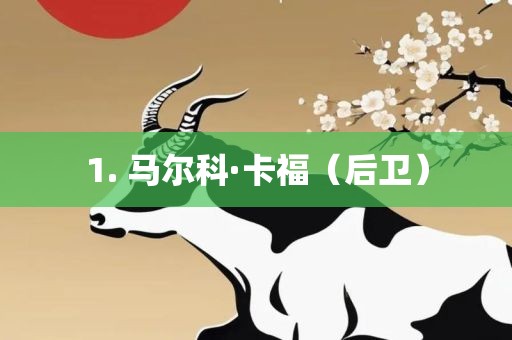 1. 马尔科·卡福（后卫）