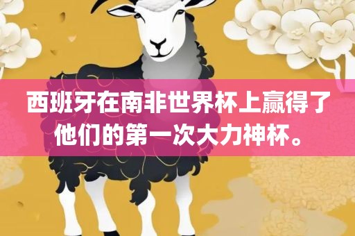 西班牙在南非世界杯上赢得了他们的第一次大力神杯。
