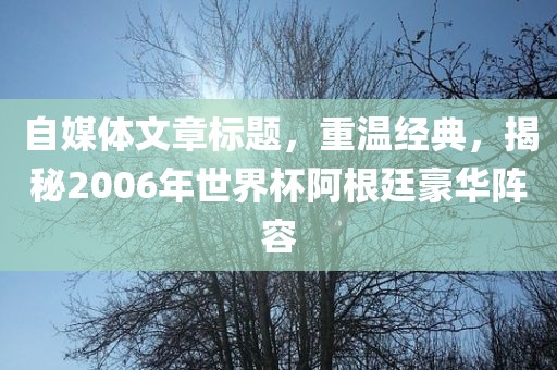 自媒体文章标题，重温经典，揭秘2006年世界杯阿根廷豪华阵容