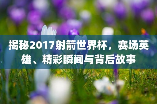 揭秘2017射箭世界杯，赛场英雄、精彩瞬间与背后故事