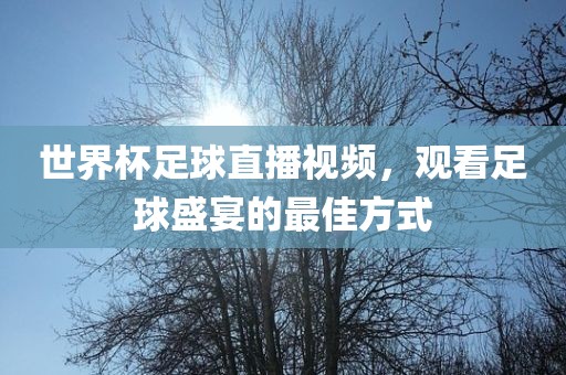 世界杯足球直播视频，观看足球盛宴的最佳方式