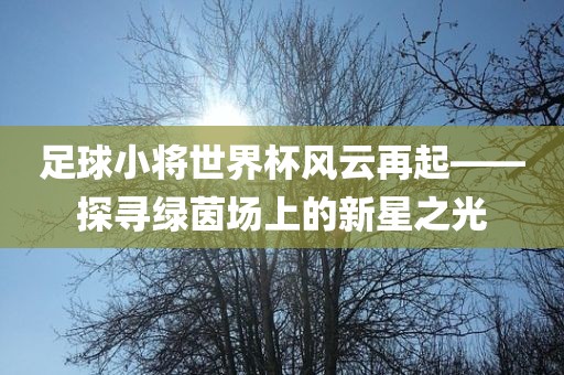 足球小将世界杯风云再起——探寻绿茵场上的新星之光