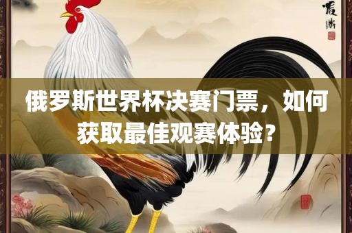 俄罗斯世界杯决赛门票，如何获取最佳观赛体验？