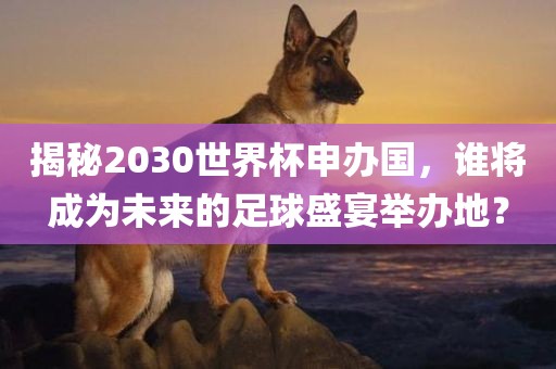 揭秘2030世界杯申办国，谁将成为未来的足球盛宴举办地？