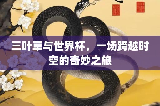 三叶草与世界杯，一场跨越时空的奇妙之旅