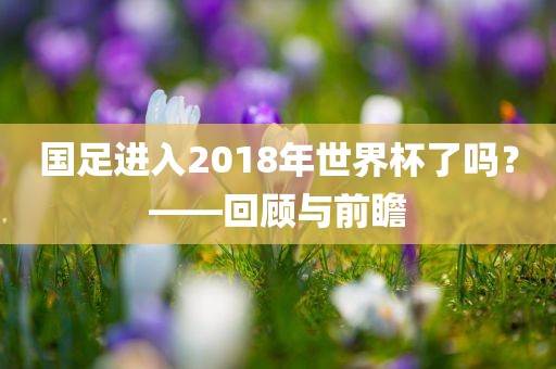 国足进入2018年世界杯了吗？——回顾与前瞻