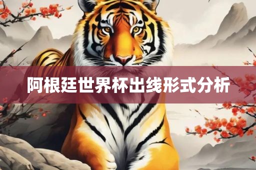 阿根廷世界杯出线形式分析