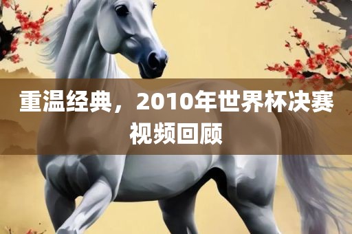 重温经典,2010年世界杯决赛视频回顾