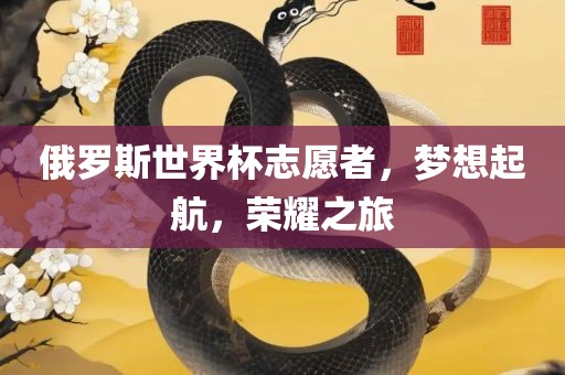 俄罗斯世界杯志愿者，梦想起航，荣耀之旅