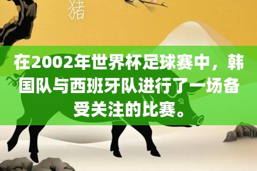 在2002年世界杯足球赛中，韩国队与西班牙队进行了一场备受关注的比赛。