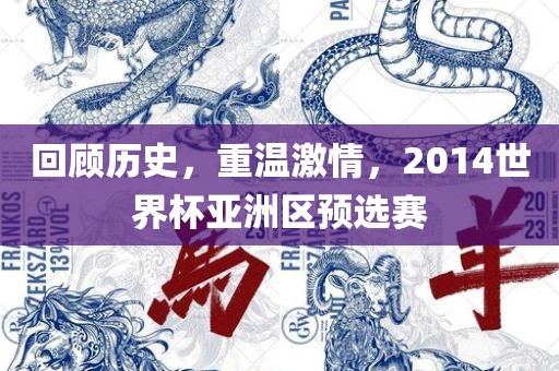 回顾历史，重温激情，2014世界杯亚洲区预选赛