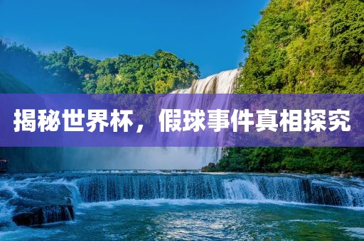 揭秘世界杯，假球事件真相探究