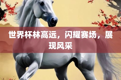 世界杯林高远，闪耀赛场，展现风采