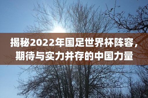 揭秘2022年国足世界杯阵容,期待与实力并存的中国力量