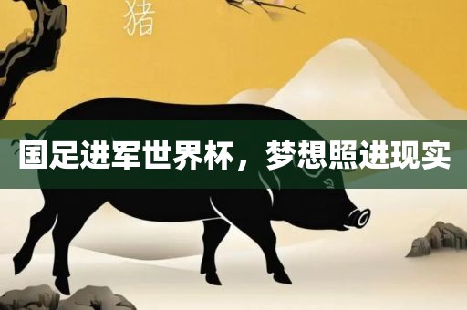 国足进军世界杯，梦想照进现实