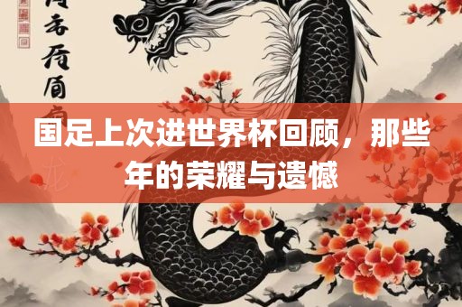 国足上次进世界杯回顾，那些年的荣耀与遗憾