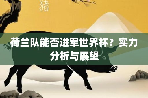 荷兰队能否进军世界杯？实力分析与展望