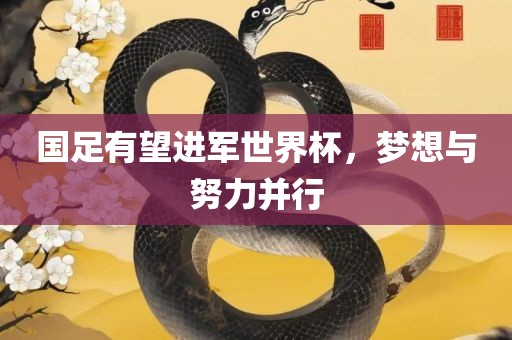 国足有望进军世界杯，梦想与努力并行