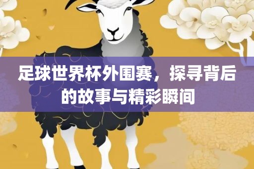 足球世界杯外围赛，探寻背后的故事与精彩瞬间