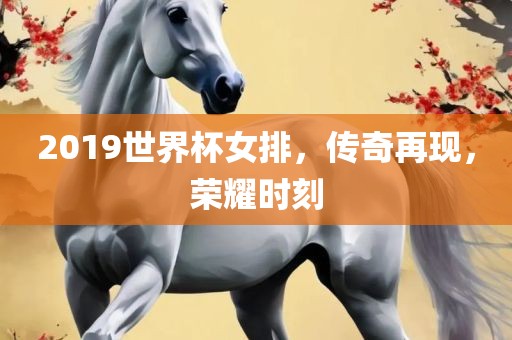 2019世界杯女排,传奇再现,荣耀时刻