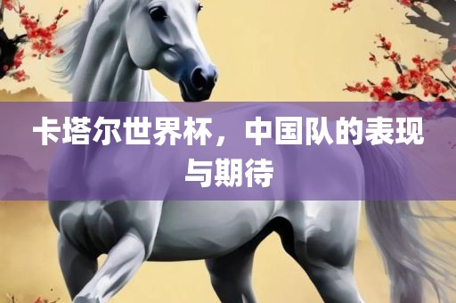 卡塔尔世界杯，中国队的表现与期待