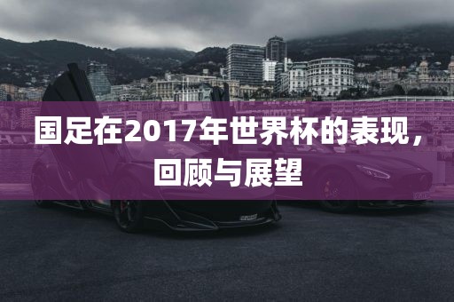 国足在2017年世界杯的表现,回顾与展望